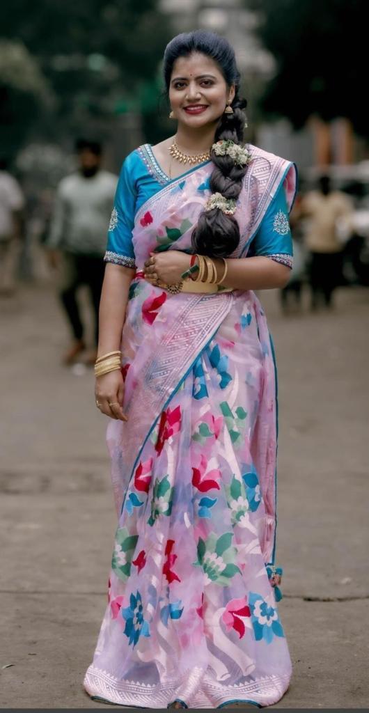 Pure organza saree